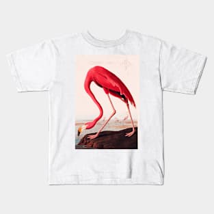 Bird of America  Bird, bird lover, america, beautiful  Public domain painting by John James Audubon Kids T-Shirt